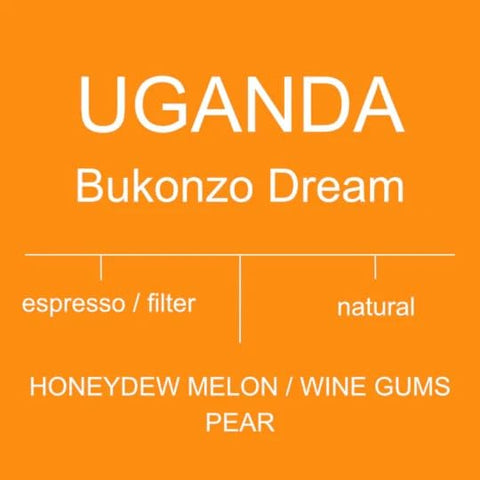 Antsti Fuel Uganda Bukonzo Dream Natural Coffee Beans, Medium Roast, Whole Bean, 1 lb