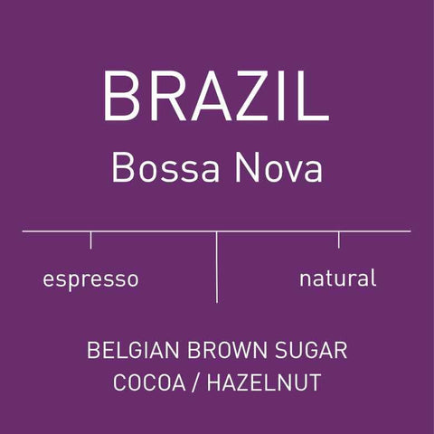Antsti Fuel Brazil Natural Coffee Beans, Medium Roast, Whole Bean, 1 lb