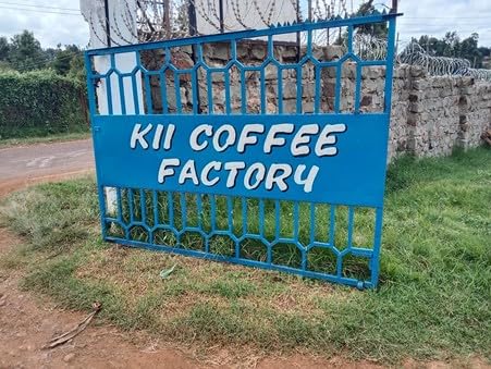 Antsti Fuel Kenya Washed Coffee Beans, Medium Roast, Whole Bean, 1 lb
