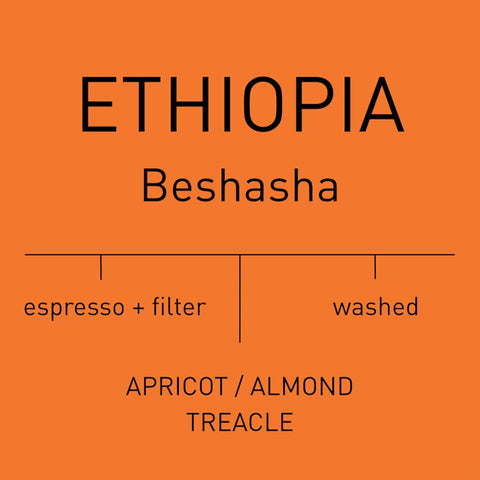 Antsti Fuel Ethiopia Beshasha Washed Coffee Beans, Medium Roast, Whole Bean, 1 lb