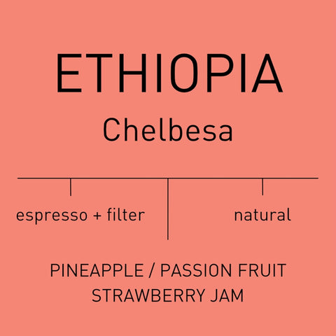 Antsti Fuel Ethiopia Chelbesa Natural Coffee Beans, Medium Roast, Whole Bean, 1 lb