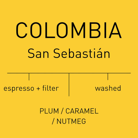 Antsti Fuel Colombia San Sebastián Washed Coffee Beans, Medium Roast, Whole Bean, 1 lb