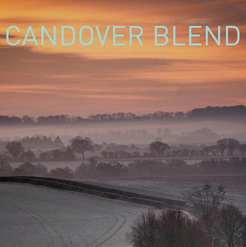 Antsti Fuel Candover Blend Coffee Beans, Medium Roast, Whole Bean, 1 lb