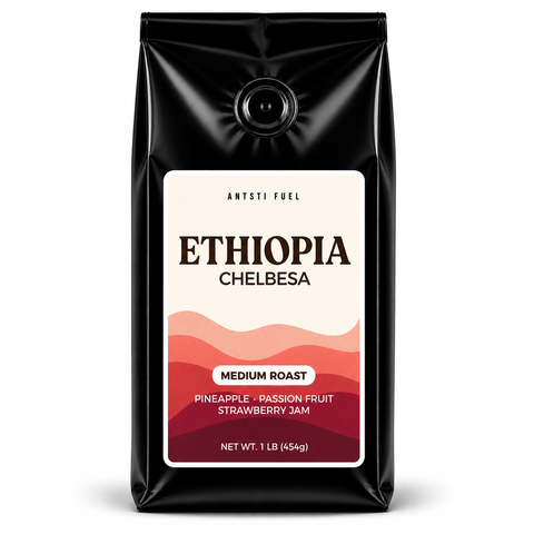 Antsti Fuel Ethiopia Chelbesa Natural Coffee Beans, Medium Roast, Whole Bean, 1 lb